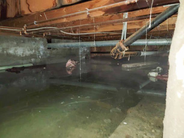 Best Carpet water damage restoration  in Hughson, CA