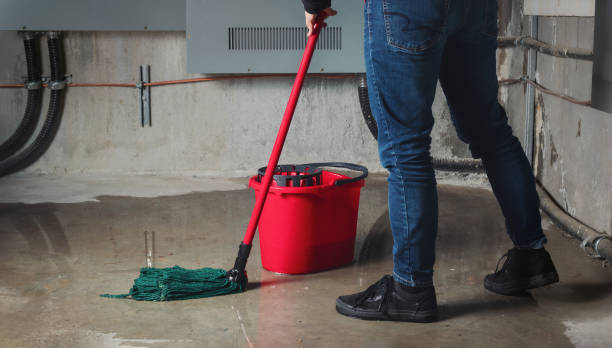 Best Mold removal after water damage  in Hughson, CA